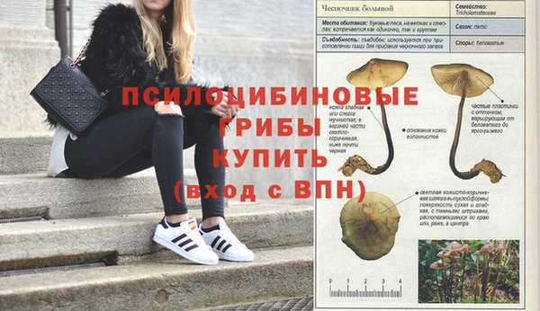 бошки Надым
