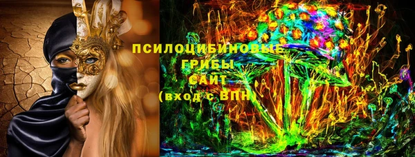 бошки Надым